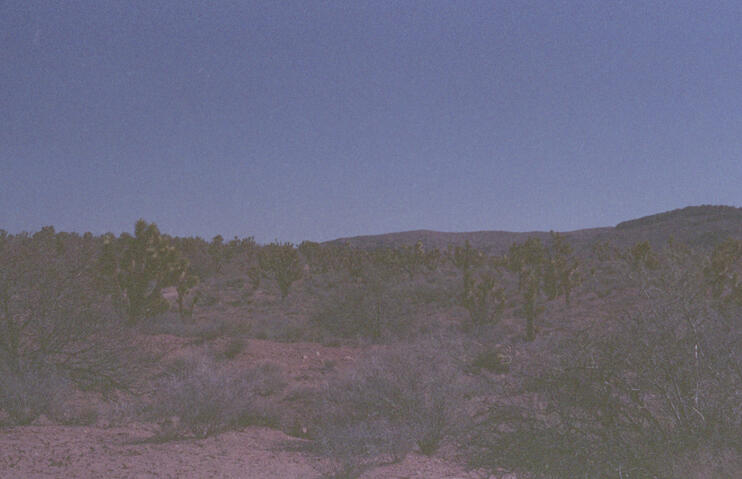 Untitled Untitled