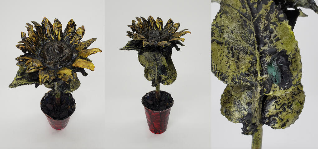 Sunflower (plus details) Sunflower (plus details)